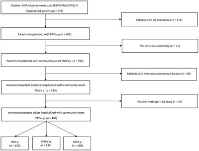 The Clinical Characteristics and Outcomes of Adult Patients With Pneumonia Related to Three Paramyxoviruses